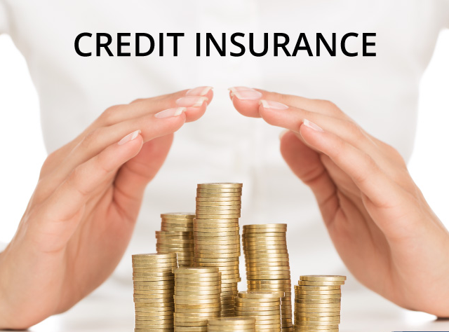 Credit Insurance To Protect Your Business