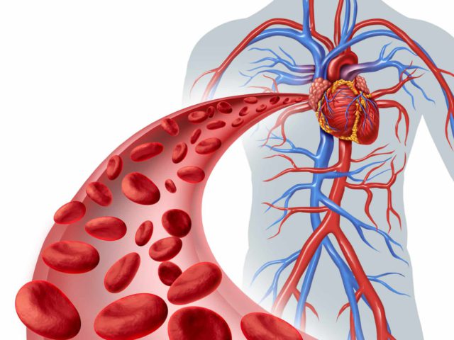 How Modern Vascular Surgery Improves Circulation And Quality Of Life?